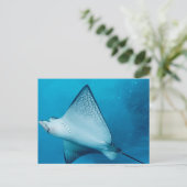 Spotted Eagle Ray Briefkaart (Staand voorkant)