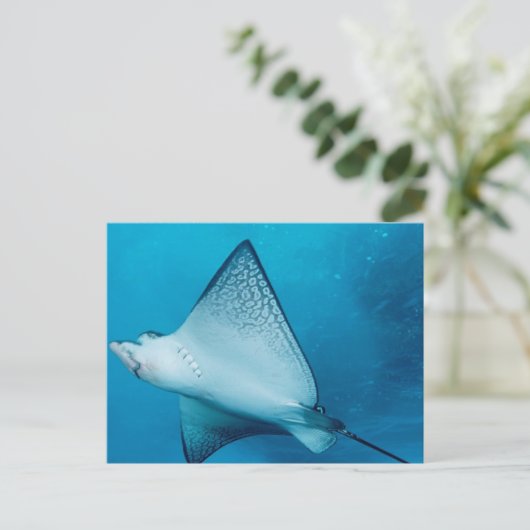 Spotted Eagle Ray Briefkaart (Staand voorkant)