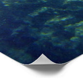 Spotted Eagle Ray Poster (Hoek)