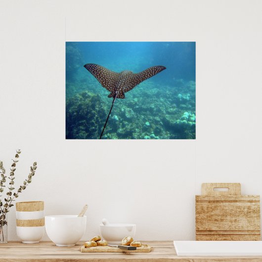 Spotted Eagle Ray Poster (Keuken)