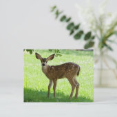 SPOTTED FAWN BRIEFKAART (Staand voorkant)
