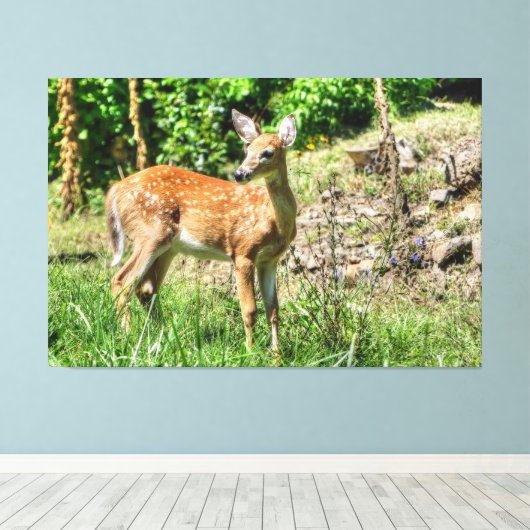 Spotted Fawn Canvas Afdruk (Insitu (Houten vloer))