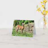 Spotted Fawn Kaart (Gele Bloem)