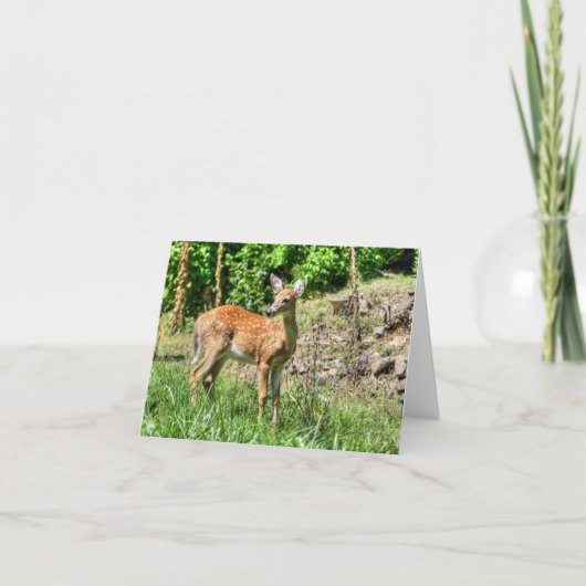 Spotted Fawn Kaart (Voorkant)