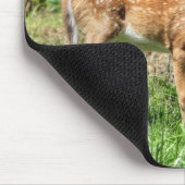 Spotted Fawn Muismat (Hoek)