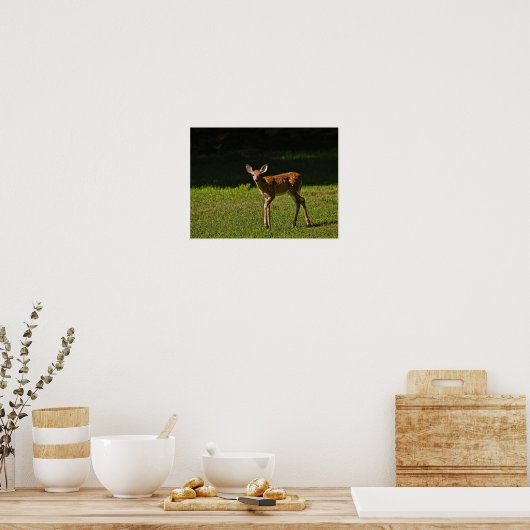 Spotted Fawn Poster (Keuken)