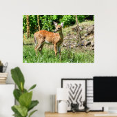 Spotted Fawn Poster (Thuiskantoor)