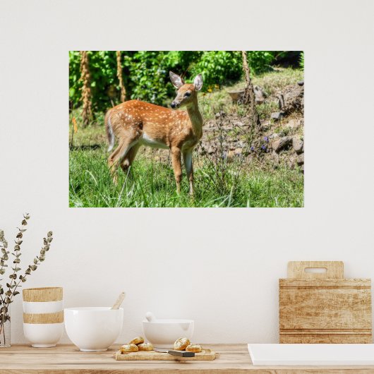Spotted Fawn Poster (Keuken)