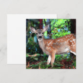 Spotted Fawn uitnodiging (Voorkant / Achterkant)