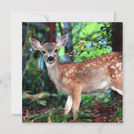 Spotted Fawn uitnodiging (Voorkant)
