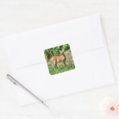 Spotted Fawn Vierkante Sticker (Envelop)