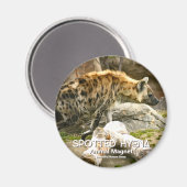 Spotted Hyena Magneet (Voorkant / Achterkant)