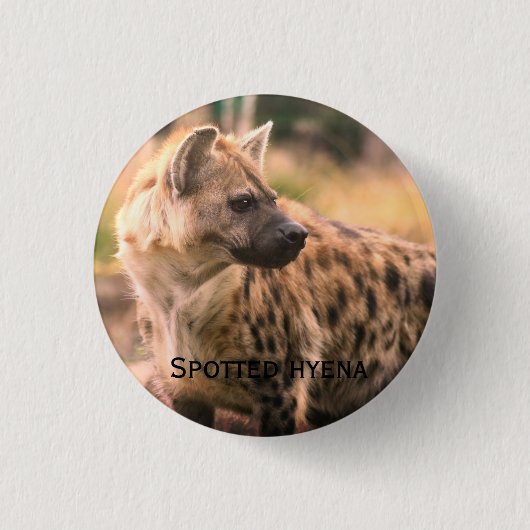 Spotted hyena:Savannah sunset Ronde Button 3,2 Cm (Voorkant)
