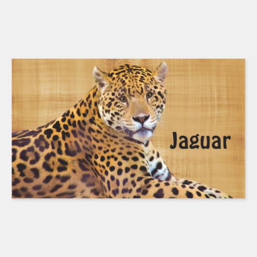 Spotted Jaguar Big Cat-lover #Gift Rechthoekige Sticker (Voorkant)