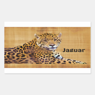 Spotted Jaguar Big Cat-lover #Gift Rechthoekige Sticker