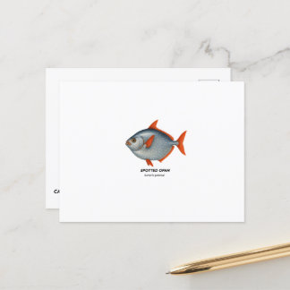 Spotted Opah - zeedieren van Californië Briefkaart