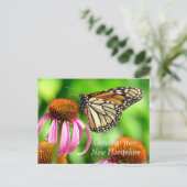 Spotted Oranje Butterfly_Greetings van NH Briefkaart (Staand voorkant)