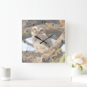 Spotted Owlet Vierkante Klok (Huis)