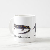 Spotted Salamander Male vs. Vrouw Mok (Voorkant links)