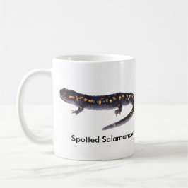 Spotted Salamander Male vs. Vrouw Mok