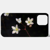 Spotted Saxifrage voor telefoons Case-Mate iPhone Case (Achterkant (horizontaal))