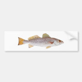 Spotted Seatrout Bumpersticker (Voorkant)