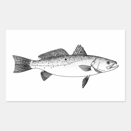 Spotted Seatrout - Gespikkelde Forel  Line Art Rechthoekige Sticker (Voorkant)