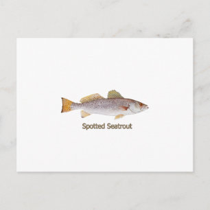 Spotted Seatrout (titel) Briefkaart