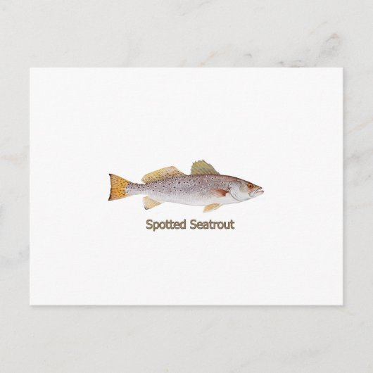 Spotted Seatrout (titel) Briefkaart (Voorkant)