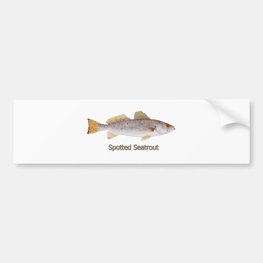 Spotted Seatrout (titel) Bumpersticker (Voorkant)