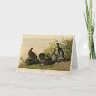 Spotted (Spruce) Grouse Audubon's vogels in Amerik Kaart