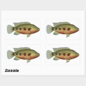 Spotted Tilapia Rechthoekige Sticker (Vel)