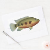 Spotted Tilapia Rechthoekige Sticker (Envelop)