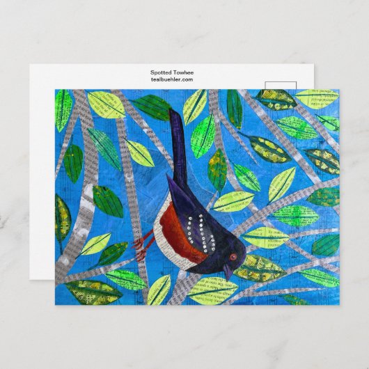 Spotted Towee Briefkaart (Voorkant / Achterkant)