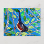 Spotted Towee Briefkaart (Voorkant)