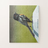 Spotted Towee Colorado Legpuzzel (Verticaal)