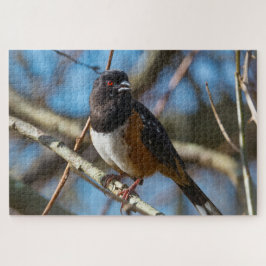 Spotted Towee Legpuzzel