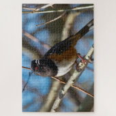 Spotted Towee Legpuzzel (Verticaal)