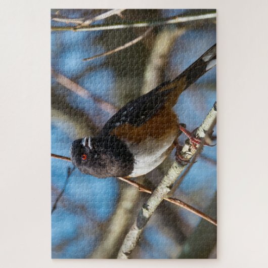 Spotted Towee Legpuzzel (Verticaal)