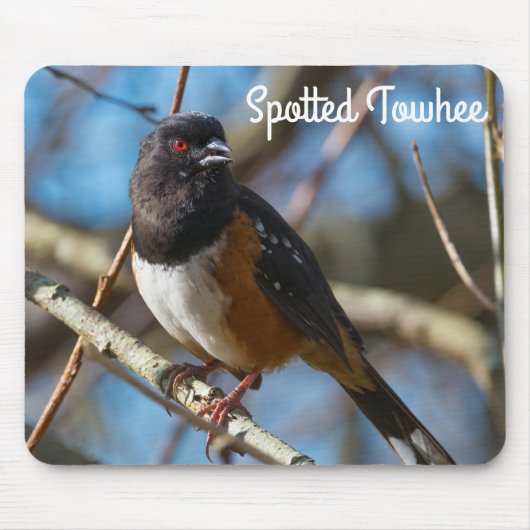 Spotted Towee Muismat (Voorkant)
