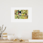 Spotted Towhee, bird image, wall art, decoration Poster (Keuken)