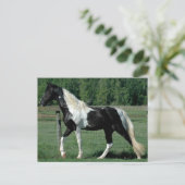 Spotted Walker Briefkaart (Staand voorkant)