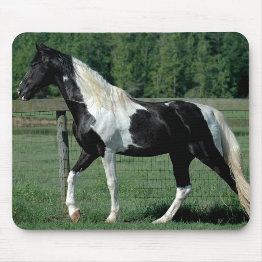 Spotted Walker Muismat (Voorkant)