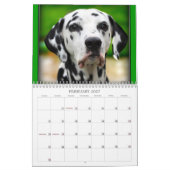Spotted Wonders Kalender (Feb 2027)