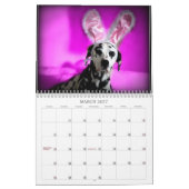 Spotted Wonders Kalender (Mar 2027)