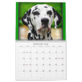 Spotted Wonders Kalender (Feb 2026)