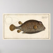 Spottekende  bloklafdruk vis poster (Voorkant)