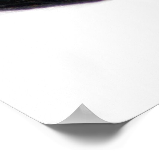 spottende salamander van Noord-Amerika druk Poster (Hoek)