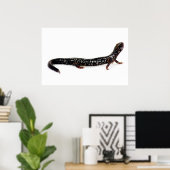 spottende salamander van Noord-Amerika druk Poster (Thuiskantoor)