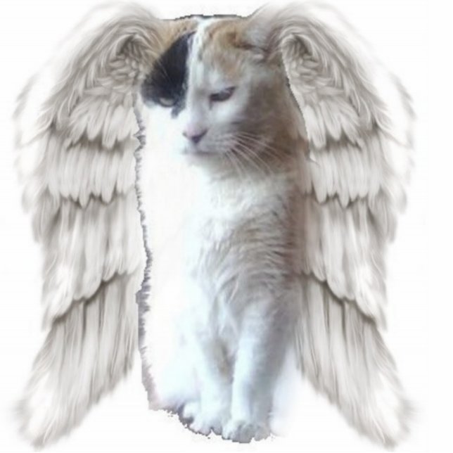 Spotty Angel Photo Sculpture Staand Fotobeeldje (Voorkant)